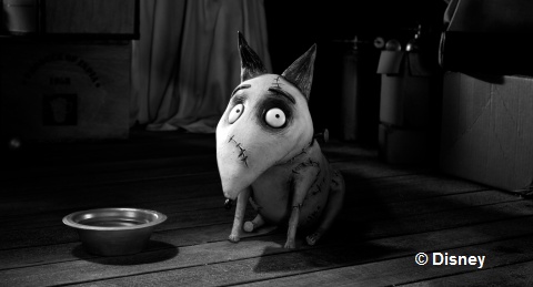 frankenweenie-7.jpg