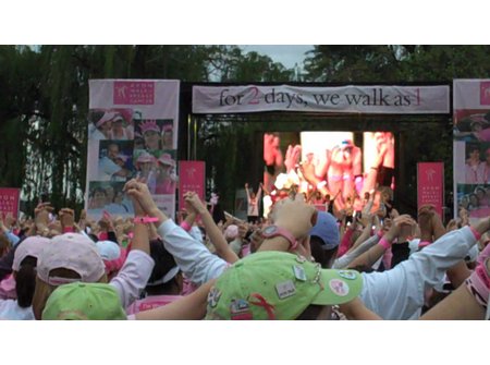 2009 Avon Walk for Breast Cancer Washington DC