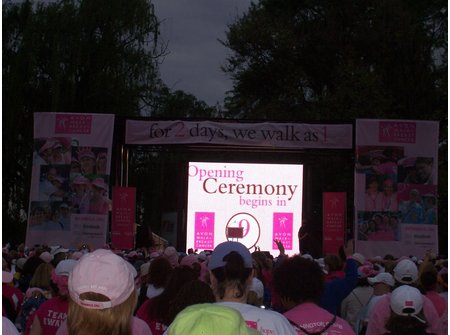 2009 Avon Walk for Breast Cancer Washington DC