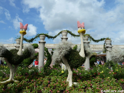 Epcot's Flower and Garden Festival