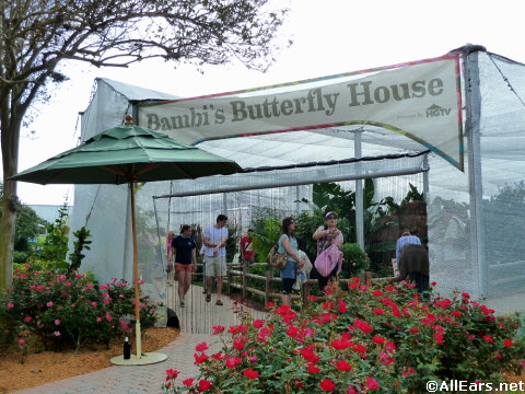 Epcot's Flower and Garden Festival