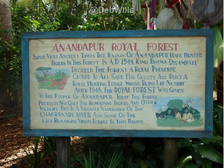 Animal Kingdom Walt Disney World