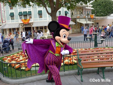 Disneyland Halloween Treets