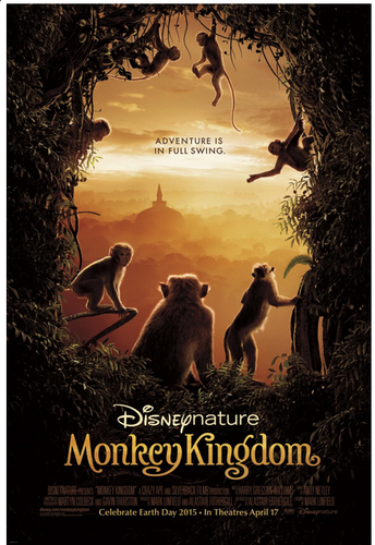 monkey-kingdom-6.jpg