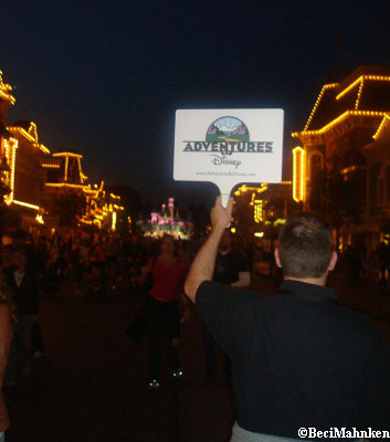 Disneyland at Night