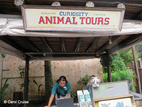 Curiosity Animal Tours