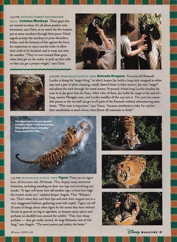 Disney Magazine Winter 2003-04 pg 41