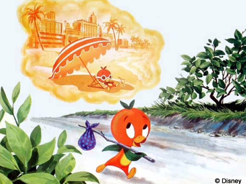 Orange Bird thoughts of beach