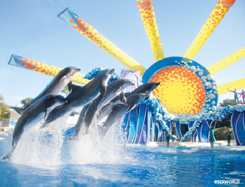 Seaworld-blue-horizons.jpg