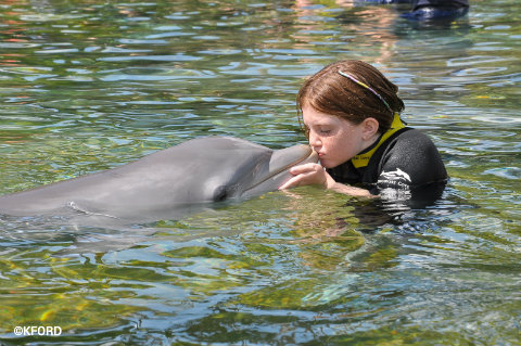 discovery-cove-lauren-kissing-dolphin.jpg
