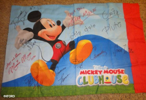 disney-cruise-line-mickey-pillowcase.jpg