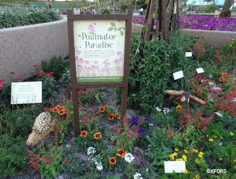 disney-epcot-flower-garden-festival-pollinators-garden.jpg