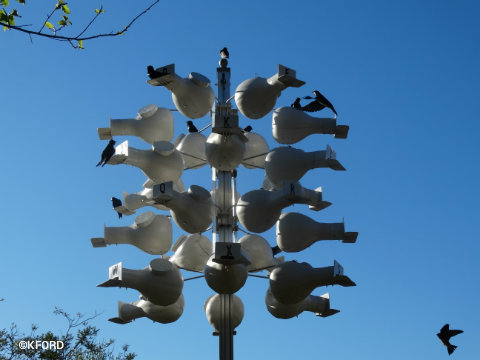 disney-epcot-flower-garden-purple-martin-houses.jpg