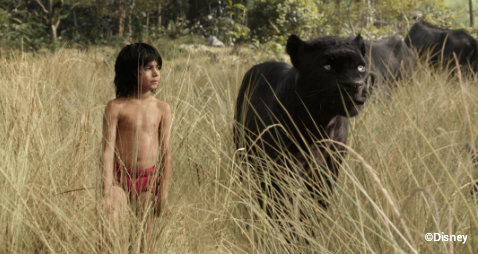 disney-jungle-book-mowgli-panther.jpg