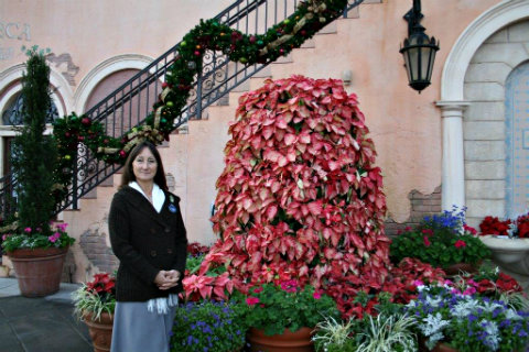 disney-world-heather-will-browne-holiday-poinsettiaa.jpg