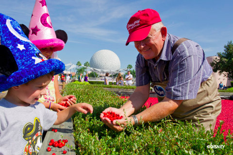 food-wine-festival-cranberry-bog.jpg