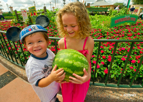 food-wine-festival-watermelon-exhibit.jpg