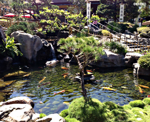 gardens-of-the-world-tour-japan-koi-pond.jpg