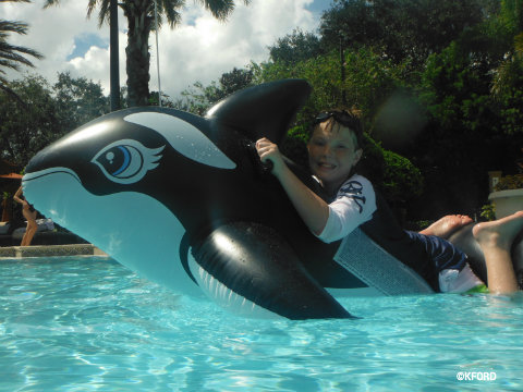 seaworld-inflatable-whale.jpg