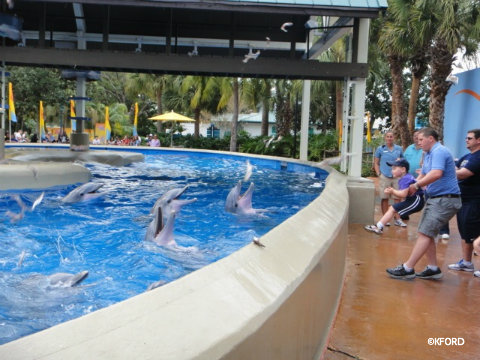 seaworld-scatter-feed.jpg