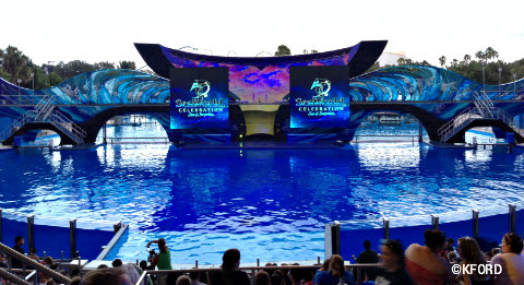 seaworld-shamus-celebration-1.jpg