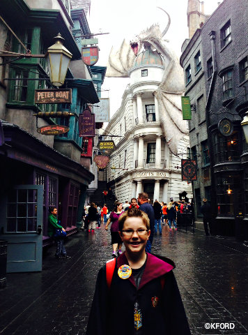 universal-orlando-harry-potter-diagon-alley-carter.jpg