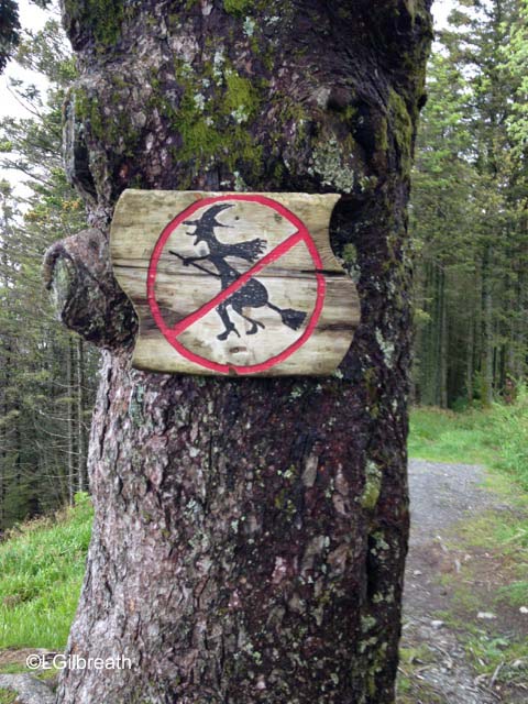 No flying witches