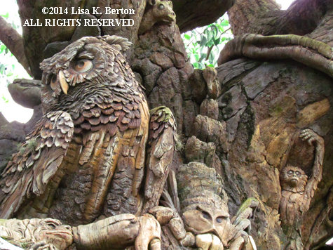 lkb-TreeofLife-Owl.jpg