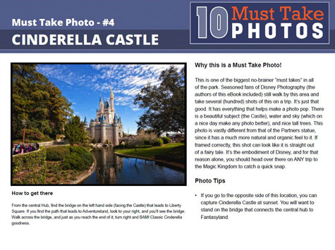 Cinderella Castle Must Take Photo page