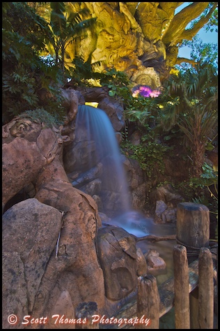 Nighttime photo of a Tree of Life waterfall in Disney's Animal Kingdom, Walt Disney World, Orlando, Florida.