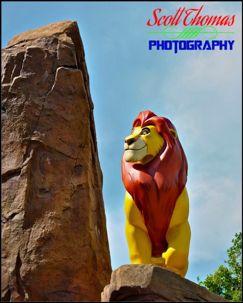 Simba overlooking The Lion King section of Disney's Art of Animation Resort, Walt Disney World, Orlando, Florida