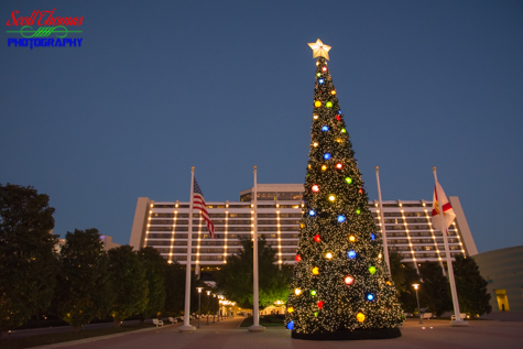 Christmas Tree at the Contemporary Resort, Walt Disney World, Orlando, Florida