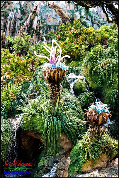 Valley of Mo'ara in Pandora at Disney's Animal Kingdom, Walt Disney World, Orlando, Florida