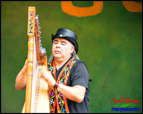 Musician playing the Paraguayan harp on Discovery Island at Disney's Animal Kingdom, Walt Disney World, Orlando, Florida
