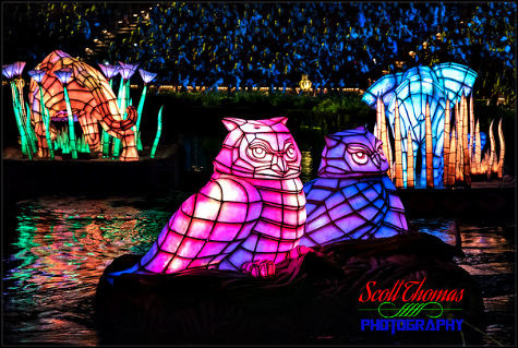 Lighted animal floats in the Rivers of Light show at Disney's Animal Kingdom, Walt Disney World, Orlando, Florida