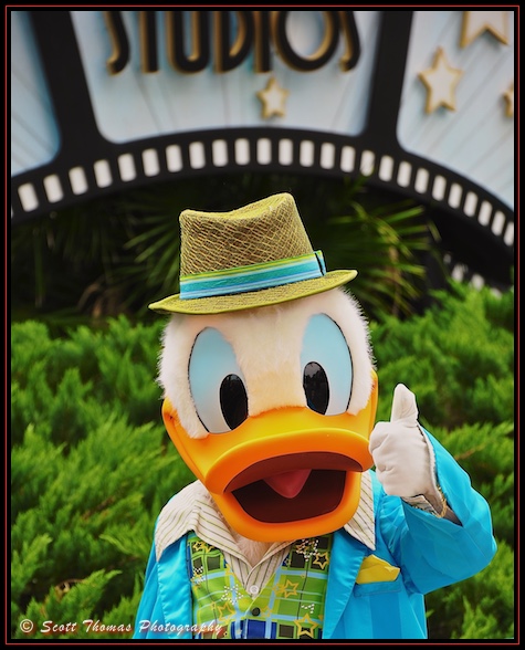 Donald Duck greeting guests at Disney's Hollywood Studios, Walt Disney World, Orlando, Florida