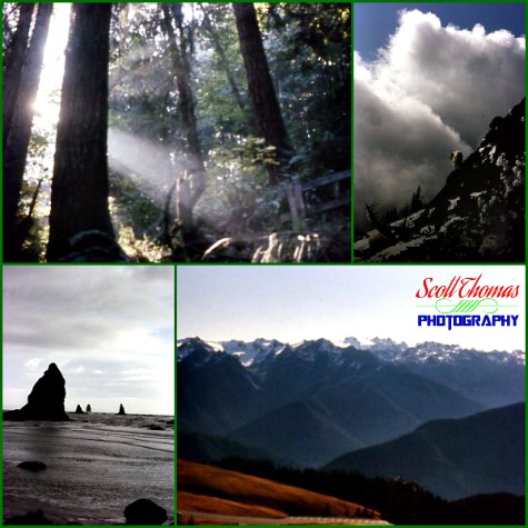 Collage of photos from Olympic National Park in the State of Washington