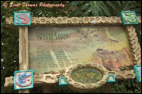 White Stork informational sign in Disney's Animal Kingdom, Walt Disney World, Orlando, Florida