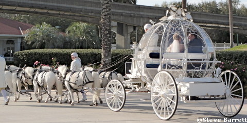 Cinderella Carriage