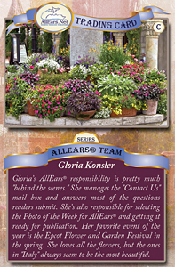 card Gloria Konsler