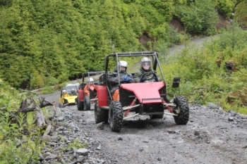 Disney Alaska Cruise Tomcar