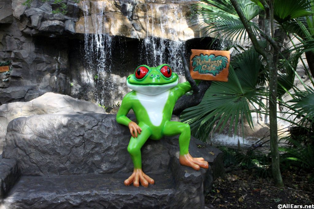 Exterior Pictures of Rainforest Cafe in Disney World - AllEars.Net