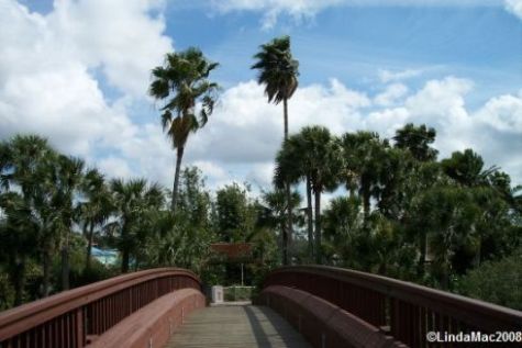 Caribbean Cay Island