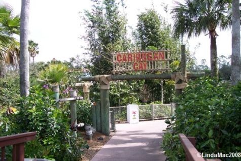 Caribbean Cay Island