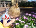 "Taking Time to Smell the Flowers"
