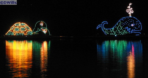 Disney's Electrical Water Pageant