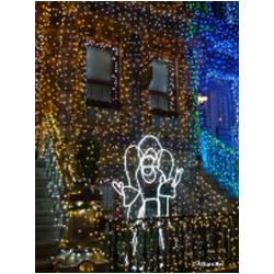 Osborne Family Spectacle of Dancing Lights