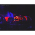 Fantasmic - Cobra