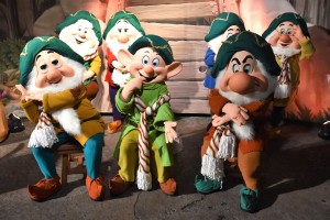 Magic Kingdom Holiday Characters