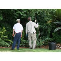 Landscapers tend to plants as well as nests from birds and insects.